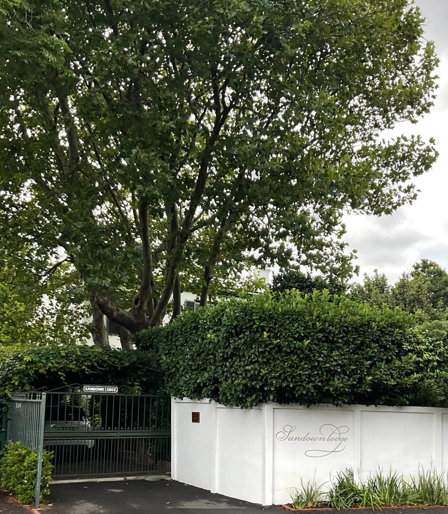 Sandown Lodge Cape Town Exterior foto