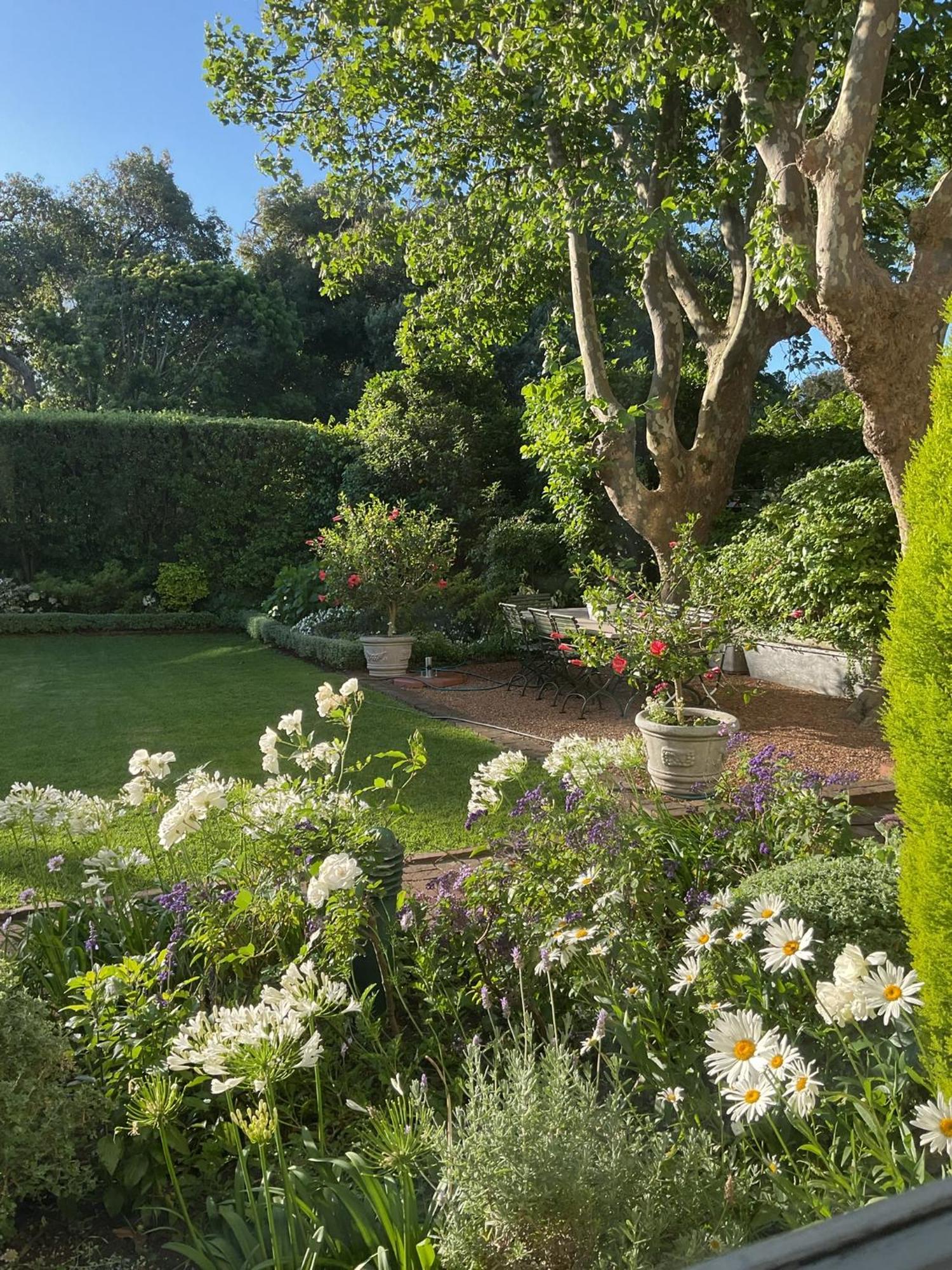 Sandown Lodge Cape Town Exterior foto