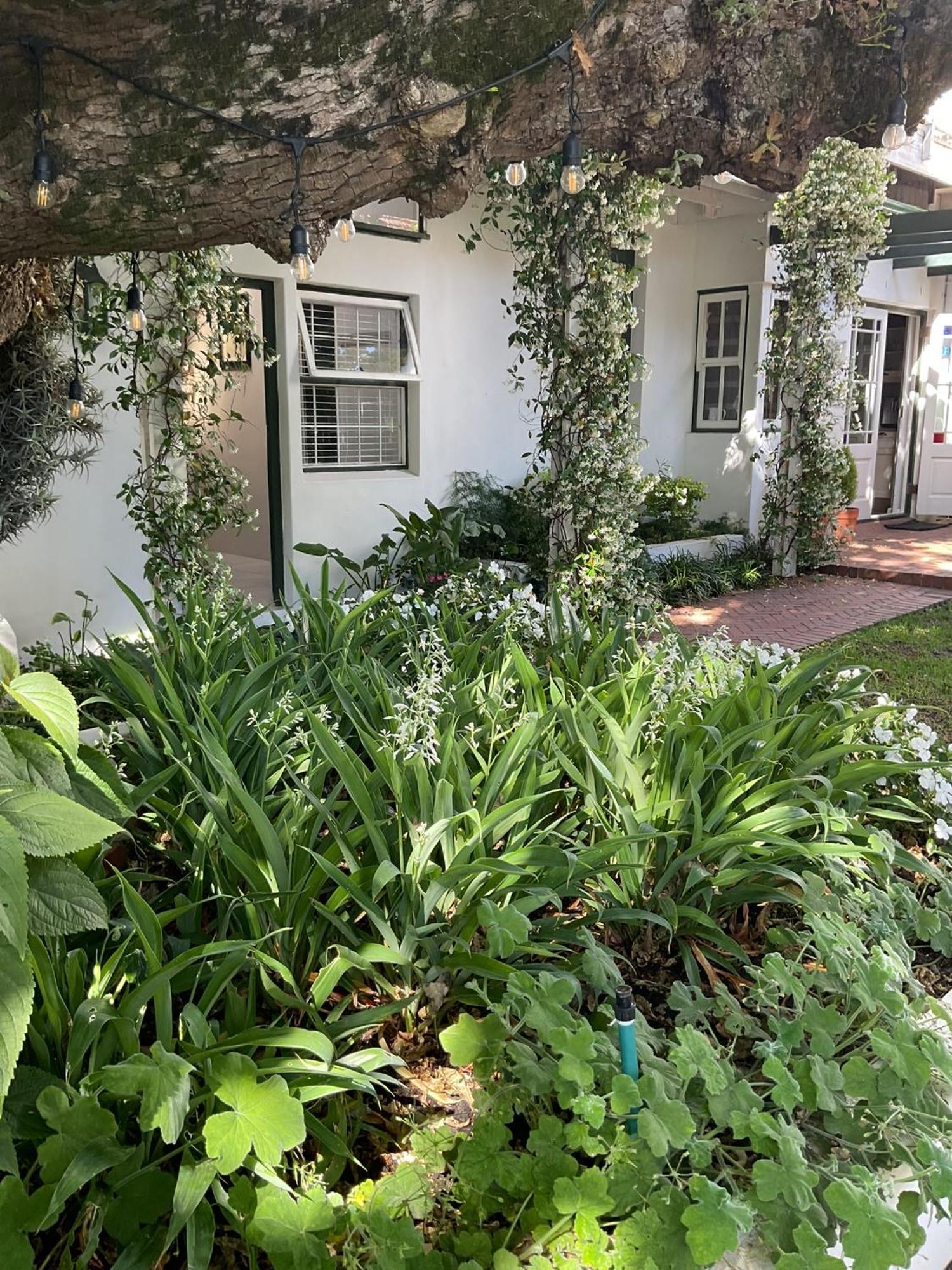 Sandown Lodge Cape Town Exterior foto